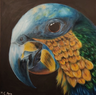 03 - ca - Papagei- Realistisches Tierportrait in Öl - 80x80 - 2020