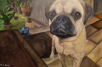06 - ca - Philippinischer Mops- Realistisches Tierportrait in Öl - 90x60 - 2022