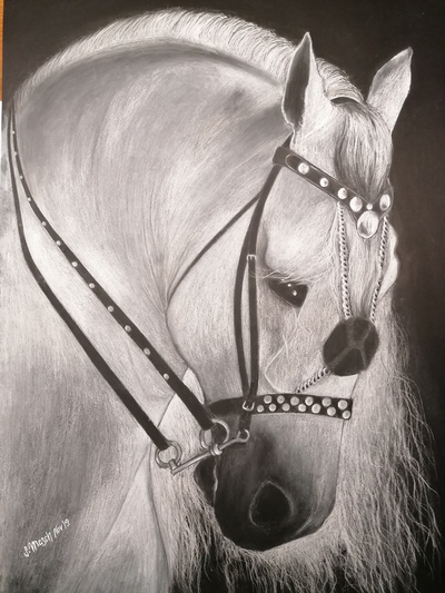 SM-whiteBeauty-Portrait-Pastellkeide-50x70-2019