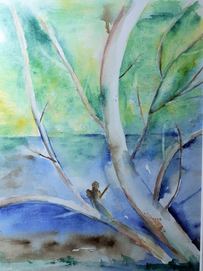 MB-Baumstudie-Aquarell-18x24-Euro 80-2021