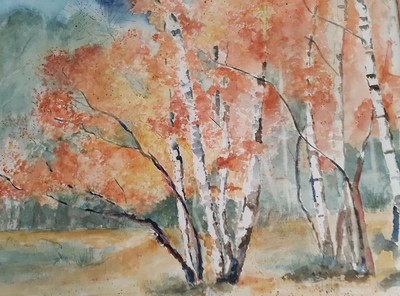 MB Im Brachter Wald Aquarell ca.40x50 € 180