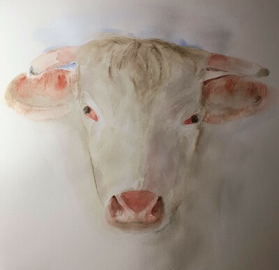 MB a cow girl Aquarell auf Papier 40x40
