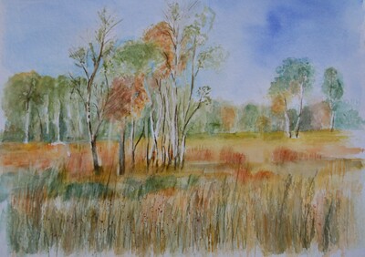 MB im Schwalmbruch Aquarell auf Papier 30x40 € 120,-
