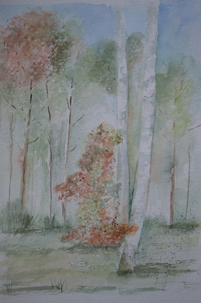 MB Aquarell auf Papier,Herbstleuchten 30x40 €120,-