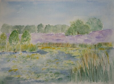 MB Elfenmeer und Heideblüte Aquarell auf Papier 35x42 €150,-