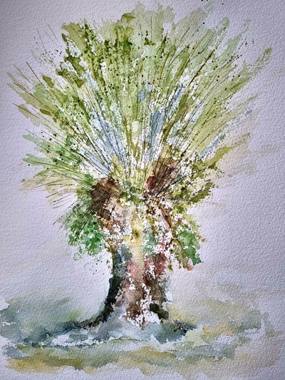 MB Aquarell auf Papier  20x28cm Kopfweidenfrühling €90,-
