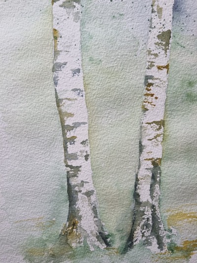 MB Aquarell auf Papier 18x22cm Birkenstämme 2 €100,-