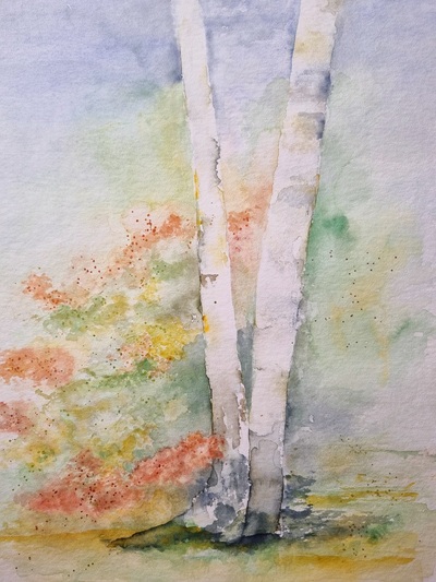 MB Aquarell auf Papier 30x40cm Birkenstämme 3 €120,-