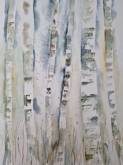 MB Aquarell auf Papier  30x40cm Birkenstämme 4 € 120,-