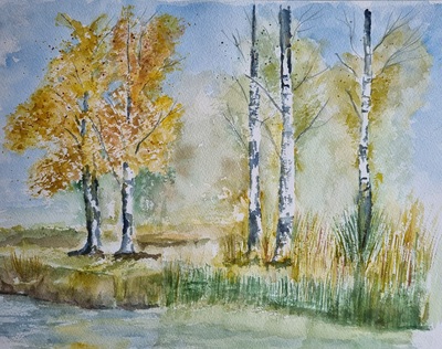 MB Aquarell auf Papier 30x40cm im Schwalmbruch € 120,-