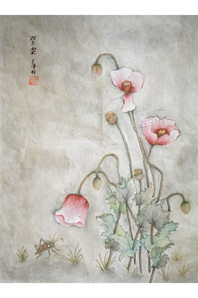 10  Mohnblüten
