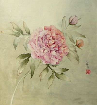 12  Pfingsrose